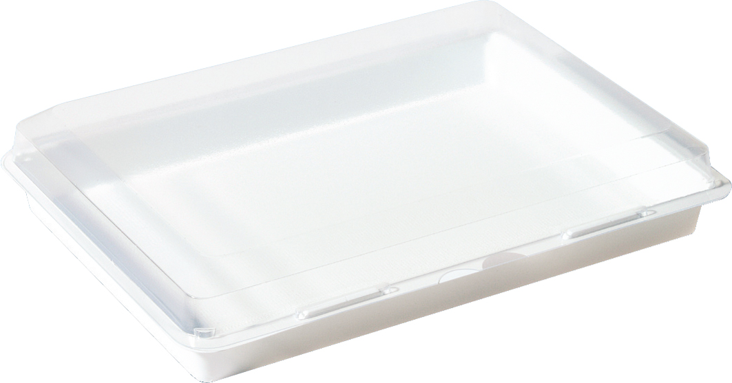 Lunchbox, 338 x 250 x 63 mm Weiß / Transparent